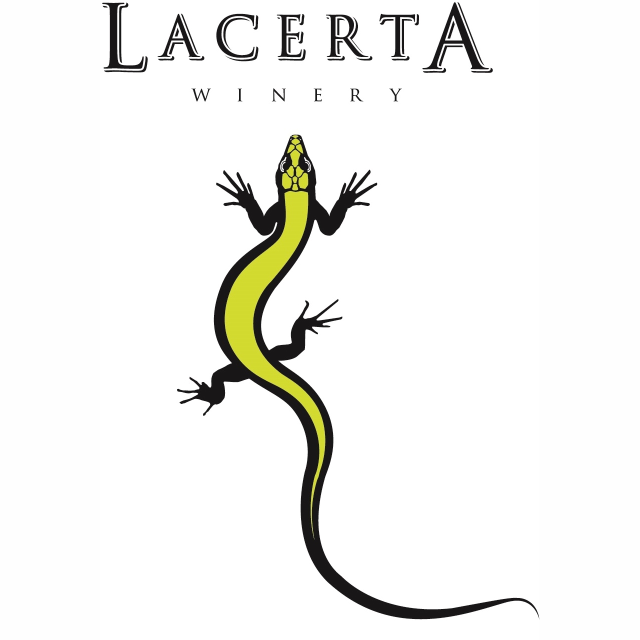 Lacerta